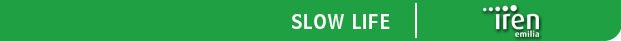 t-slow-life